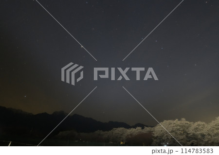 北杜市武川町真原の桜並木の上、春の大曲線 114783583