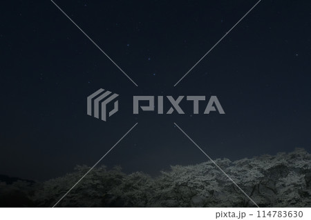 北杜市武川町真原の桜並木の上、北斗七星 114783630