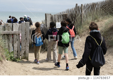 Utah Beach in Normandy, France. Unrecognizable children passing through wood sea fence, grass and sand dunes. Sunny sky light ble clouds and blue ocean in background. High quality photo 114783657