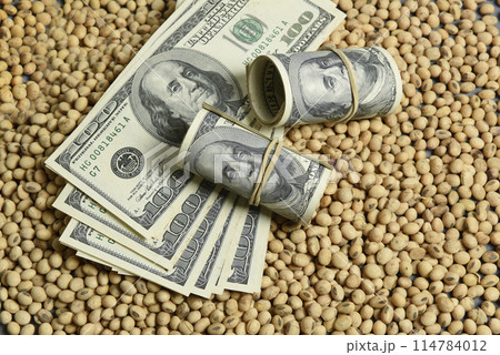 Dollars banknotes and coins and soy beans,oleaginous commoditi value concept. Dollars banknotes and coins and soy beans,oleaginous commoditi value concept. 114784012