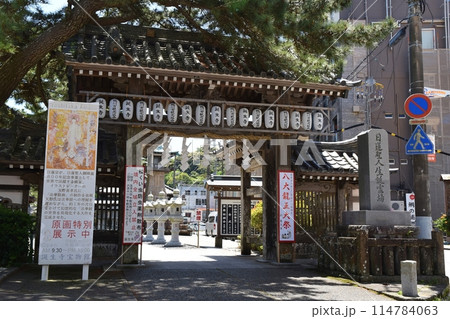 春の誕生寺 千葉 春の誕生寺 千葉 114784063