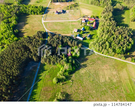 beautiful artificial lake in green forest, serene fishing pond and swamp, fishery and hunting industry, aerial top view, Osowek Poland 114784147