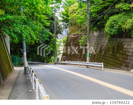 東京 上野毛通り 稲荷坂 東京 上野毛通り 稲荷坂 114784222