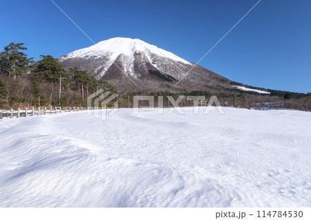 冠雪の大山　（大山まきばみるくの里付近から） 114784530