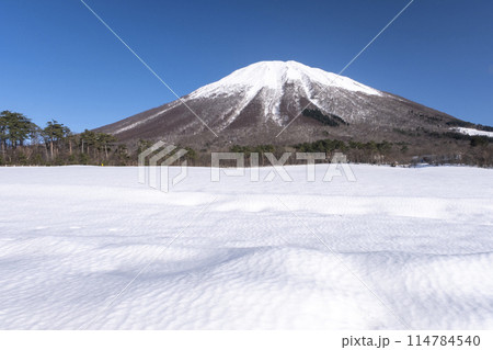 冠雪の大山 (大山まきばみるくの里付近から) 冠雪の大山 (大山まきばみるくの里付近から) 114784540