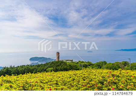 （神奈川県）湯河原　星ヶ山公園　さつきの郷 114784679