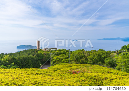 （神奈川県）湯河原　星ヶ山公園　さつきの郷 114784680