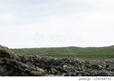 Normandy France D-Day deteriorating stronghold bunker at Utah beach area. WWII Utah Beach. Veterans Day rememberance. High quality photograph 114784731