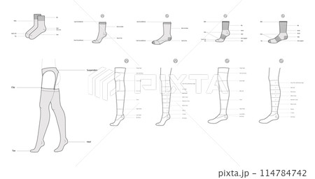 Set of Soks and tight parts Diagrams with text names. Hosiery Fashion accessory clothing technical illustration stocking Set of Soks and tight parts Diagrams with text names. Hosiery Fashion accessory clothing technical illustration stocking 114784742