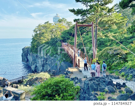 城ケ崎海岸の門脇吊り橋 城ケ崎海岸の門脇吊り橋 114784927