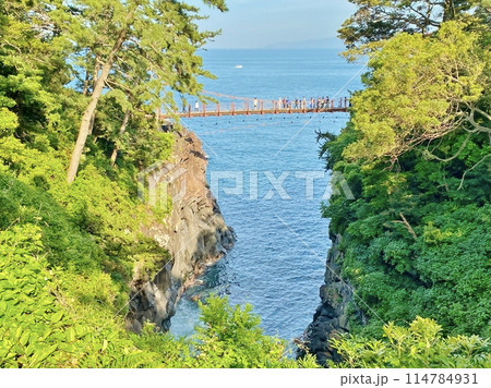 城ケ崎海岸の吊り橋 城ケ崎海岸の吊り橋 114784931