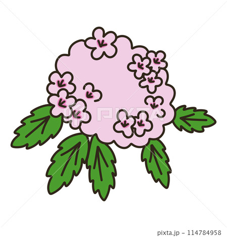 シモツケ 114784958