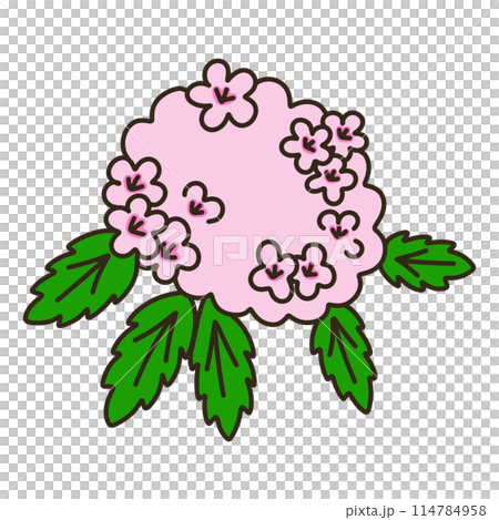 シモツケ 114784958