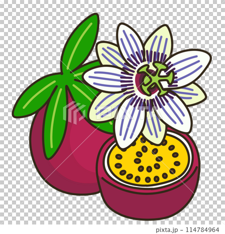 passion fruit passion fruit 114784964