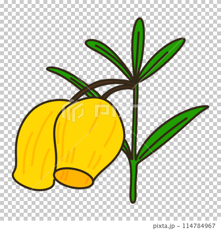 雷霆索尼婭 114784967