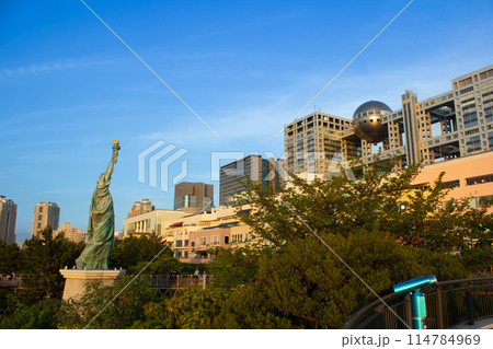 お台場の街並みと自由の女神 114784969