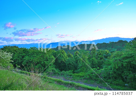 三国　大峰山　谷川連峰　三峰山　武尊山　赤城高原SAから早朝の風景　　　 114785037