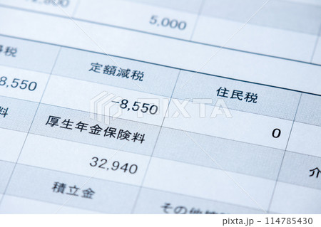 定額減税額が明記された給与明細のアップ。 定額減税額が明記された給与明細のアップ。 114785430