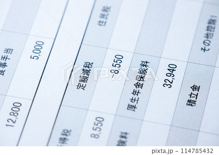 定額減税額が明記された給与明細のアップ。 定額減税額が明記された給与明細のアップ。 114785432