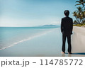南国の美しいビーチとビジネスパーソンのシルエット 114785772
