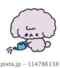 じょうろを持って水やりをしているかわいいトイプードルの子犬のイラスト 114786138
