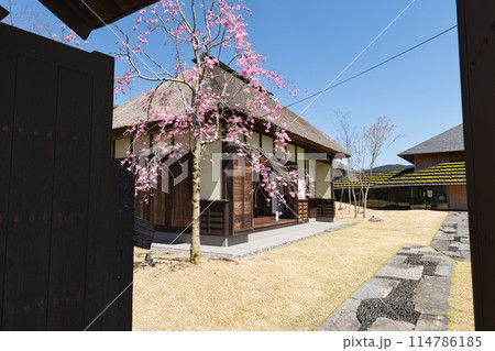 みやぎの明治村 春の登米町武家屋敷 みやぎの明治村 春の登米町武家屋敷 114786185