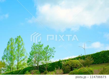 新緑の空気に包まれて 新緑の空気に包まれて 114786673