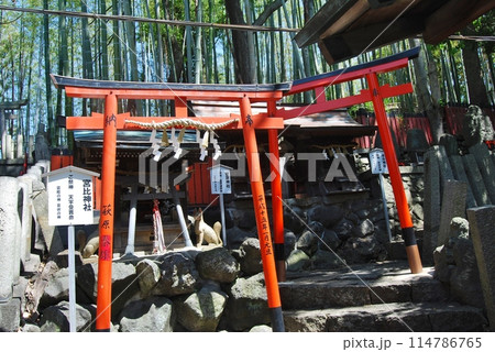 瓢箪山稲荷神社の風景 瓢箪山稲荷神社の風景 114786765