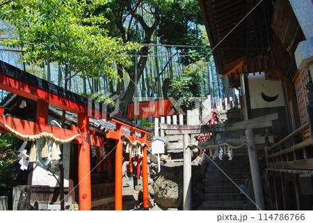 瓢箪山稲荷神社の風景 瓢箪山稲荷神社の風景 114786766