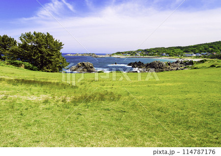 種差海岸の天然芝 114787176