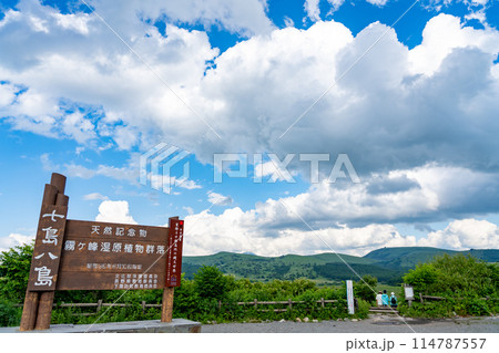 長野県下諏訪町　夏の八島湿原をトレッキングする人 114787557