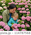 紫陽花を見る親子 114787568