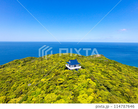 奄美大島　蒲生崎観光公園　展望台　空撮 114787646