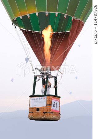 大空に羽ばたく希望と繁栄の象徴を感じます 114787926