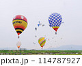 大空に羽ばたく希望と繁栄の象徴を感じます 114787927