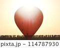 大空に羽ばたく希望と繁栄の象徴を感じます 114787930