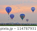 大空に羽ばたく希望と繁栄の象徴を感じます 114787931