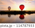 大空に羽ばたく希望と繁栄の象徴を感じます 114787933