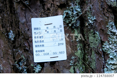 松枯れ防止樹幹注入剤の施工済み証紙、添付実例 松枯れ防止樹幹注入剤の施工済み証紙、添付実例 114788007