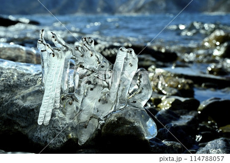 中禅寺湖のしぶき氷 114788057