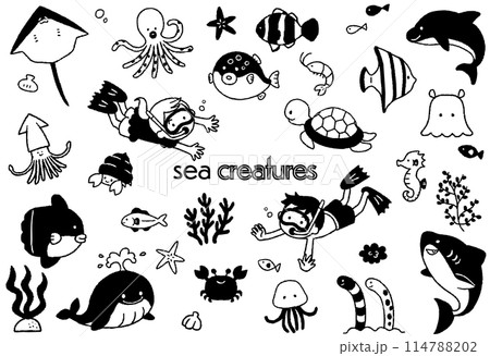 かわいい海の生き物の手描きイラストセット 114788202