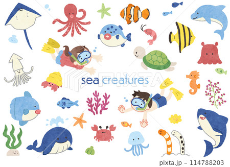 かわいい海の生き物の手描きイラストセット 114788203