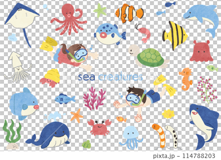Cute sea creatures hand drawn illustration set 114788203