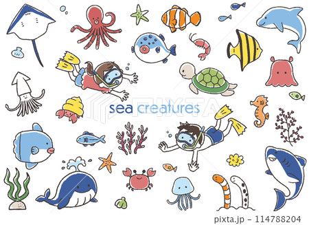 かわいい海の生き物の手描きイラストセット かわいい海の生き物の手描きイラストセット 114788204