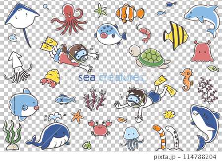 かわいい海の生き物の手描きイラストセット かわいい海の生き物の手描きイラストセット 114788204
