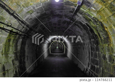 伊世賀美隧道の内部(旧伊勢神トンネル)(愛知県豊田市) 伊世賀美隧道の内部(旧伊勢神トンネル)(愛知県豊田市) 114788211