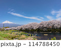 富士山と桜 114788450