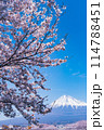 富士山と桜 114788451
