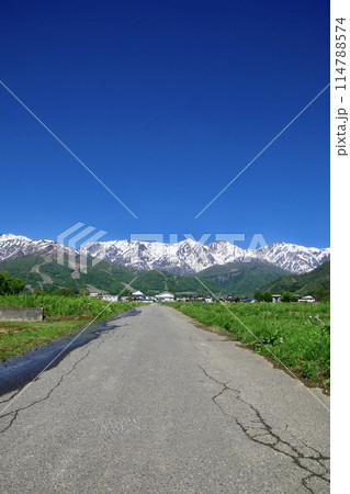 アルプスに続く道（長野県・白馬村） 114788574