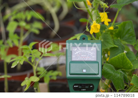 Agricultural soil moisture, PH and sunlight tester 114789018